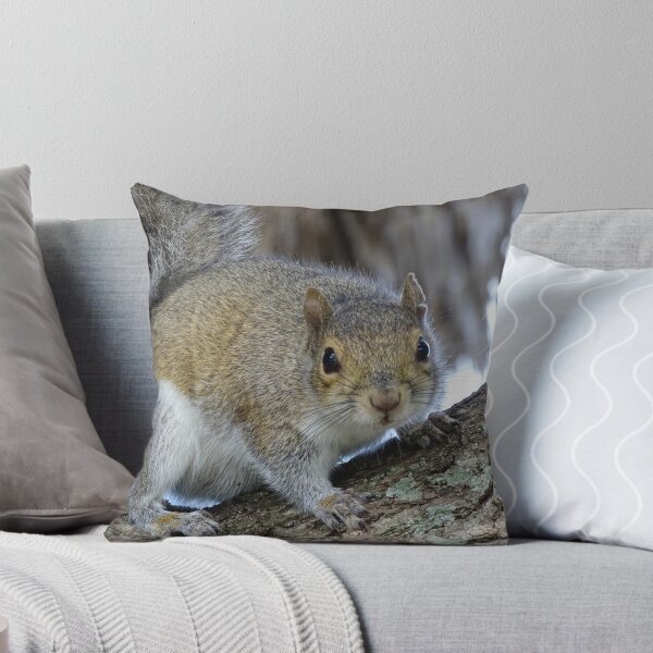 Item preview, Cute Squirrel #0102 designed and sold by Jeffrey Mask.
