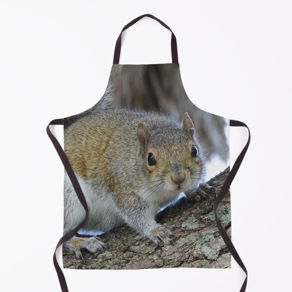 Item preview, Cute Squirrel #0102 designed and sold by Jeffrey Mask.
