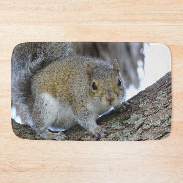 Item preview, Cute Squirrel #0102 designed and sold by Jeffrey Mask.