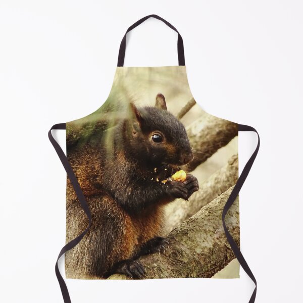 Item preview, Cute Squirrel #0103 designed and sold by Jeffrey Mask.