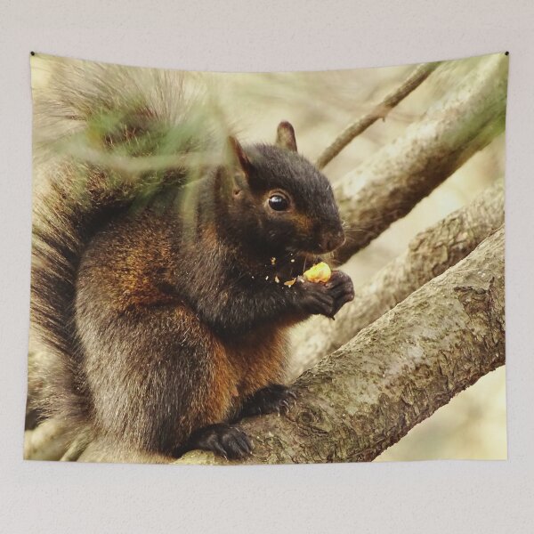 Item preview, Cute Squirrel #0103 designed and sold by Jeffrey Mask.
