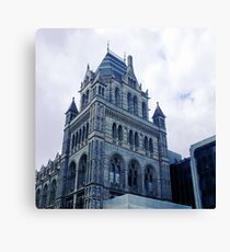 Museum Of Natural History Canvas Print