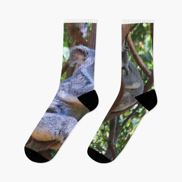 Item preview, Australian koalas just chilling out designed and sold by FranWest.