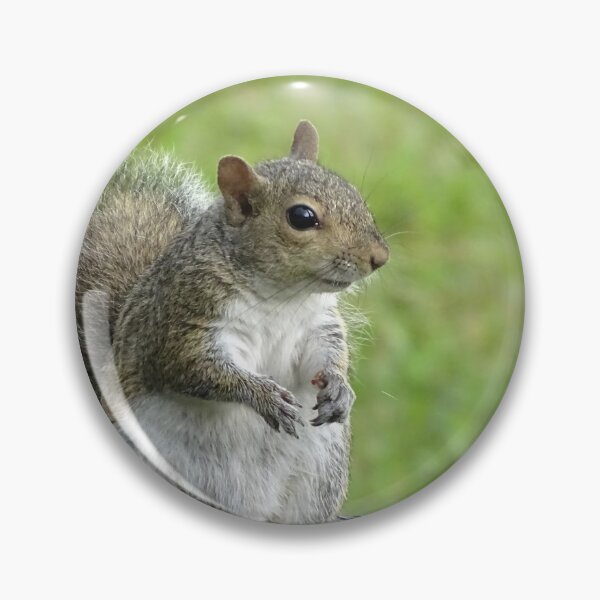 Item preview, Cute Squirrel #0104 designed and sold by Jeffrey Mask.