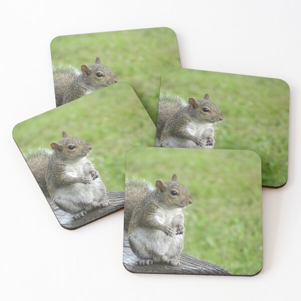 Item preview, Cute Squirrel #0104 designed and sold by Jeffrey Mask.