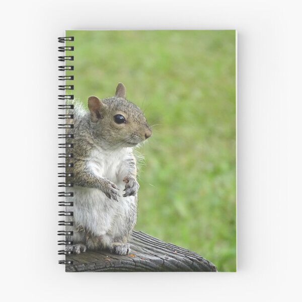 Item preview, Cute Squirrel #0104 designed and sold by Jeffrey Mask.