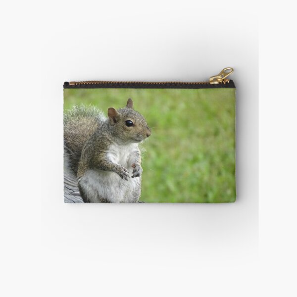 Item preview, Cute Squirrel #0104 designed and sold by Jeffrey Mask.