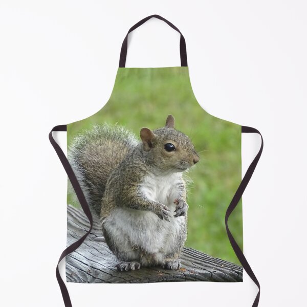 Item preview, Cute Squirrel #0104 designed and sold by Jeffrey Mask.
