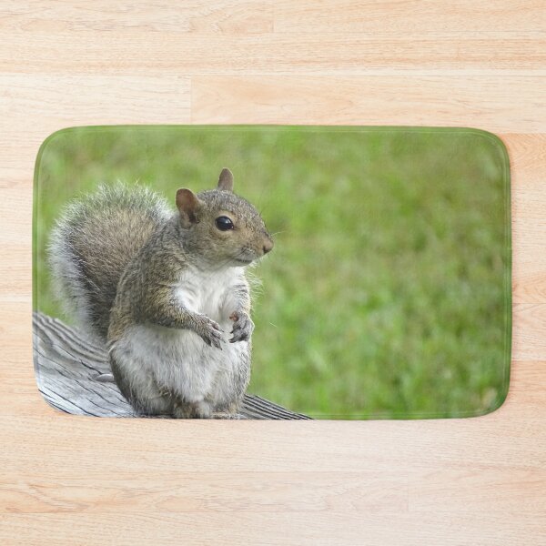 Item preview, Cute Squirrel #0104 designed and sold by Jeffrey Mask.