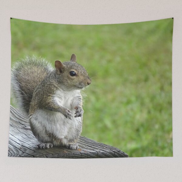 Item preview, Cute Squirrel #0104 designed and sold by Jeffrey Mask.