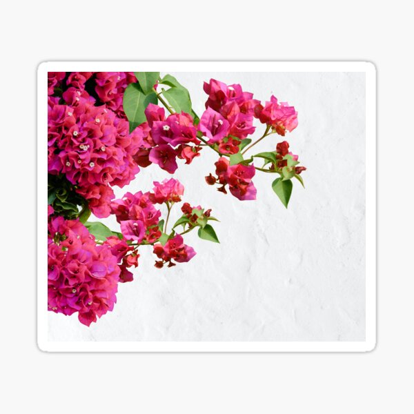 Item preview, Bougainvillea Floral Mediterranean Greek Island designed and sold by idovedesign.