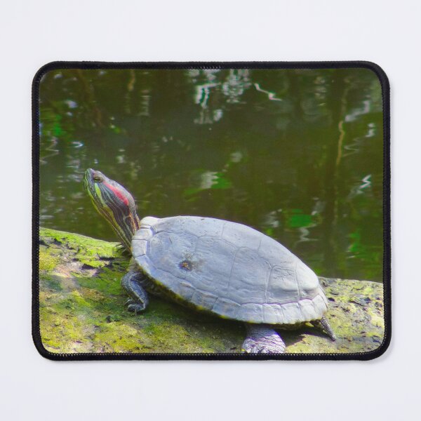 Item preview, Pond Slider basking in the Sun designed and sold by Mickangelhere.