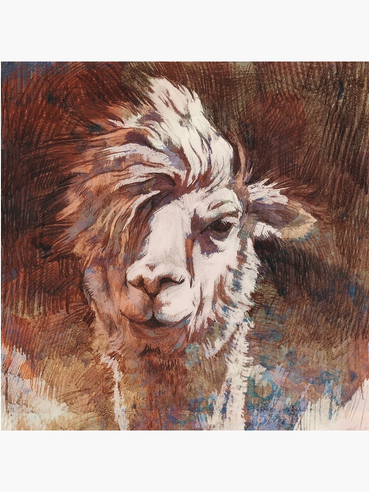 Artsy Llama von illing