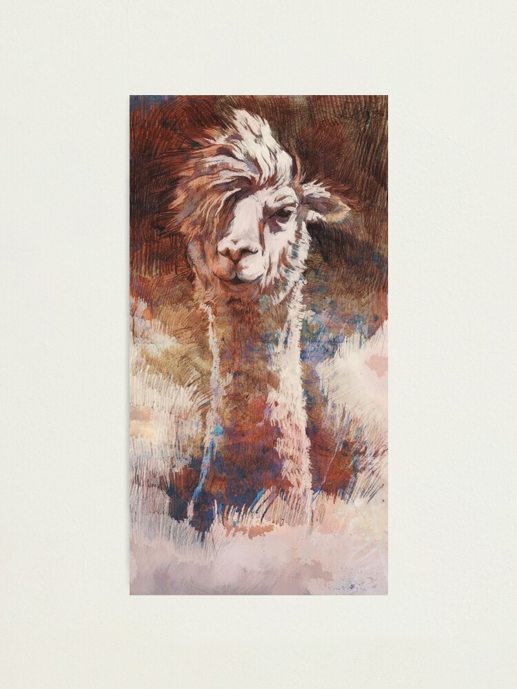 Alternative Ansicht von Artsy Llama Fotodruck