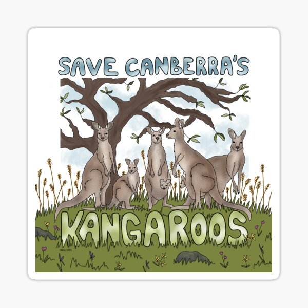 Item preview, Save Canberra’s Kangaroos designed and sold by aishabottrill.