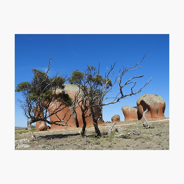 Item preview, Murpheys haystacks designed and sold by indiafrankk.