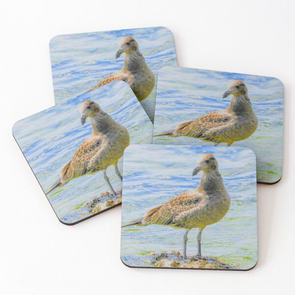 Item preview, Juvenile Pacific Gull designed and sold by indiafrankk.