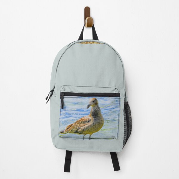 Item preview, Juvenile Pacific Gull designed and sold by indiafrankk.