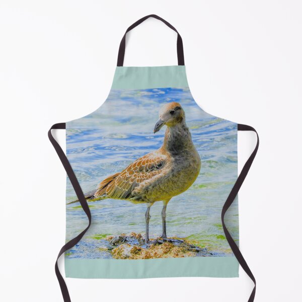 Item preview, Juvenile Pacific Gull designed and sold by indiafrankk.