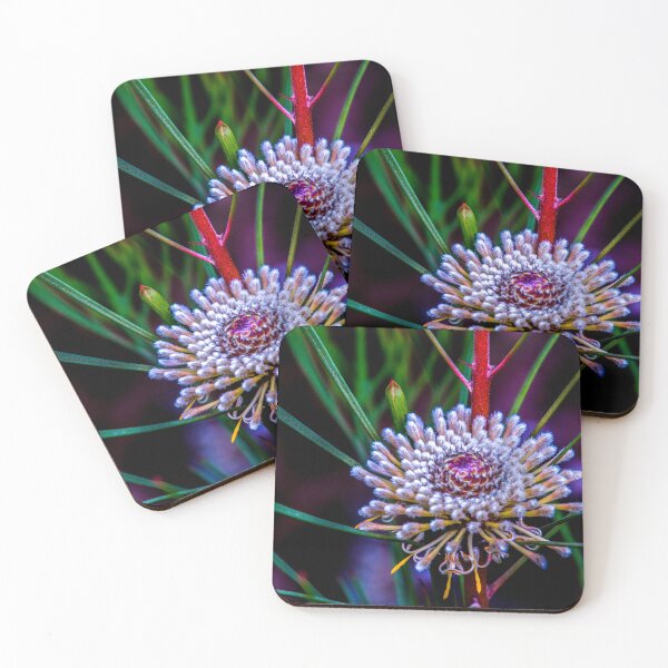 Item preview, Flannel Flower designed and sold by indiafrankk.
