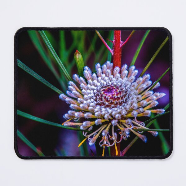 Item preview, Flannel Flower designed and sold by indiafrankk.