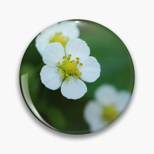 Item preview, Trio. Wild strawberry designed and sold by Jouko Lehto Photography.
