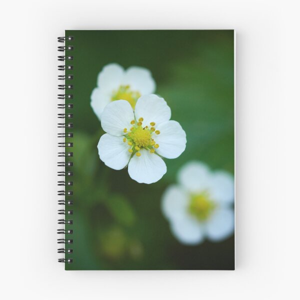Item preview, Trio. Wild strawberry designed and sold by Jouko Lehto Photography.
