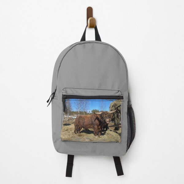 Item preview, Scottish Highland Cattle Bull 3307 designed and sold by SaarelaHighland.