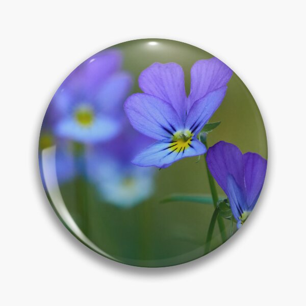Item preview, Come-and-cuddle-me 1. wild pansy designed and sold by Jouko Lehto Photography.