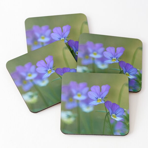 Item preview, Come-and-cuddle-me 1. wild pansy designed and sold by Jouko Lehto Photography.