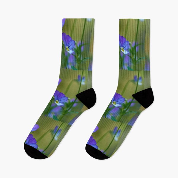 Item preview, Come-and-cuddle-me 1. wild pansy designed and sold by Jouko Lehto Photography.