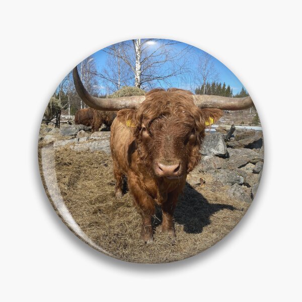 Item preview, Scottish Highland Cattle Bull with big horns 3309 designed and sold by SaarelaHighland.