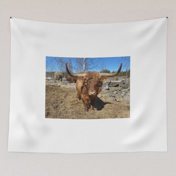 Item preview, Scottish Highland Cattle Bull with big horns 3309 designed and sold by SaarelaHighland.
