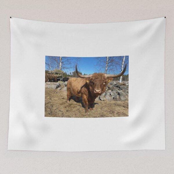 Item preview, Scottish Highland Cattle Bull 3310 designed and sold by SaarelaHighland.