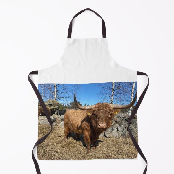 Item preview, Scottish Highland Cattle Bull 3310 designed and sold by SaarelaHighland.