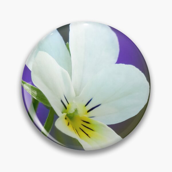 Item preview, Come-and-cuddle-me 2. Wild pansy designed and sold by Jouko Lehto Photography.