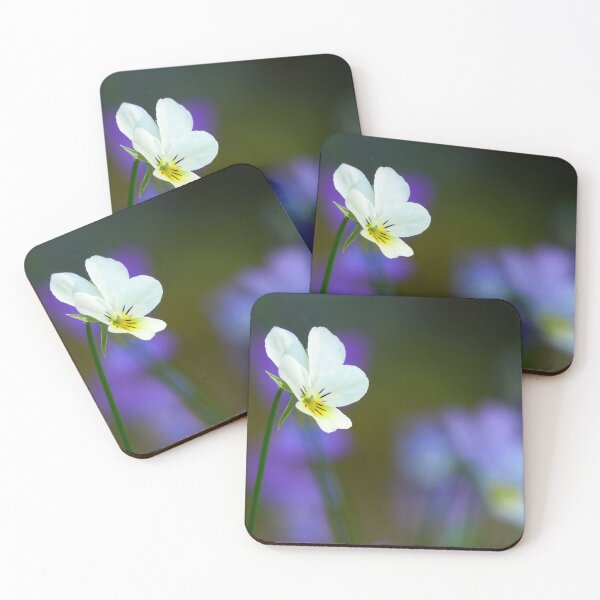 Item preview, Come-and-cuddle-me 2. Wild pansy designed and sold by Jouko Lehto Photography.