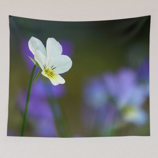 Item preview, Come-and-cuddle-me 2. Wild pansy designed and sold by Jouko Lehto Photography.
