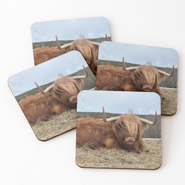 Item preview, Scottish Highland Cattle Cow 3312 designed and sold by SaarelaHighland.