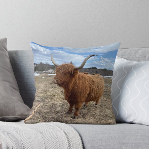 Artikelvorschau, Scottish Highland Cattle Cow 3313 entworfen und verkauft von SaarelaHighland.