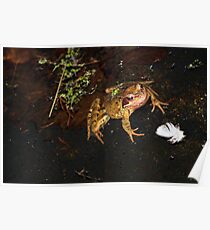 Kiss a frog into a PRINCE Poster