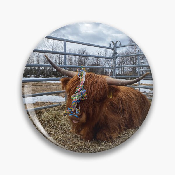 Artikelvorschau, Scottish Highland Cattle Cow and serpentine streamer 3315 entworfen und verkauft von SaarelaHighland.