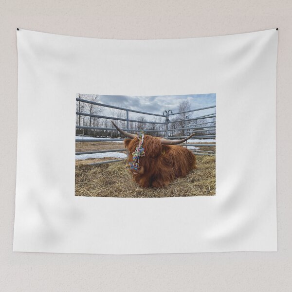 Artikelvorschau, Scottish Highland Cattle Cow and serpentine streamer 3315 entworfen und verkauft von SaarelaHighland.