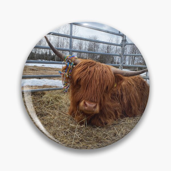 Artikelvorschau, Scottish Highland Cattle Cow and serpentine streamer 3316 entworfen und verkauft von SaarelaHighland.