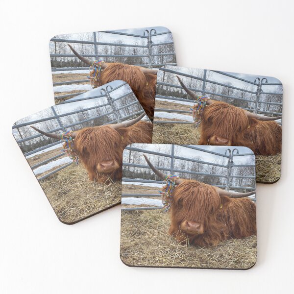 Artikelvorschau, Scottish Highland Cattle Cow and serpentine streamer 3316 entworfen und verkauft von SaarelaHighland.