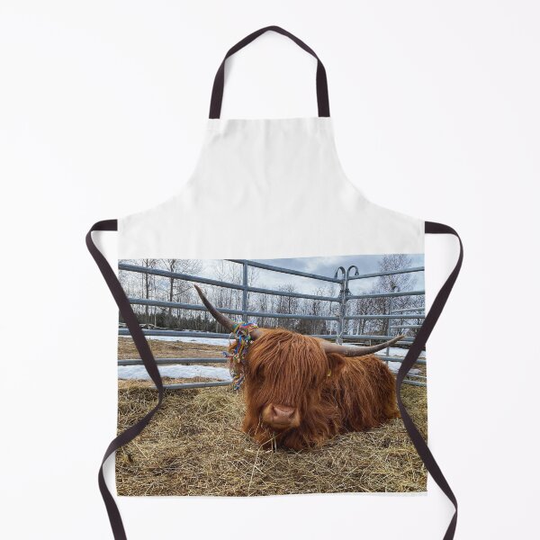 Artikelvorschau, Scottish Highland Cattle Cow and serpentine streamer 3316 entworfen und verkauft von SaarelaHighland.