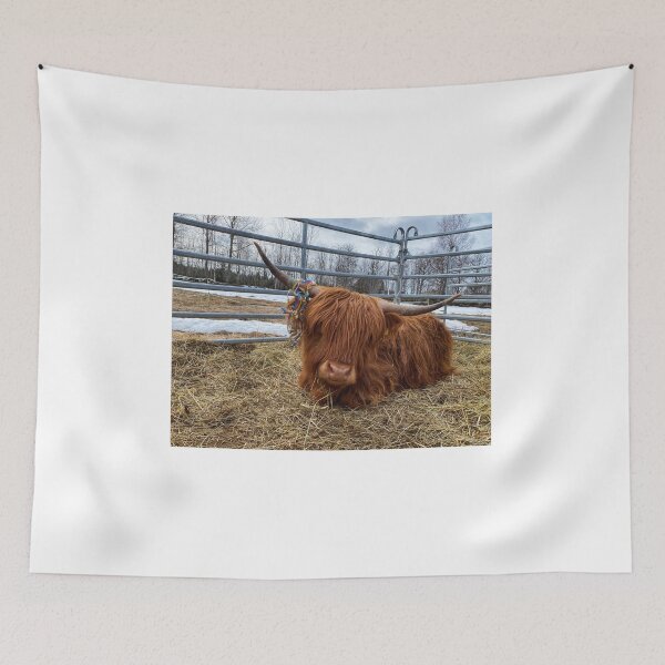 Artikelvorschau, Scottish Highland Cattle Cow and serpentine streamer 3316 entworfen und verkauft von SaarelaHighland.