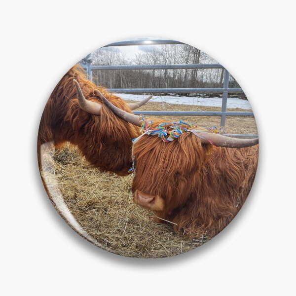 Artikelvorschau, Scottish Highland Cattle Cow and serpentine streamer 3317 entworfen und verkauft von SaarelaHighland.
