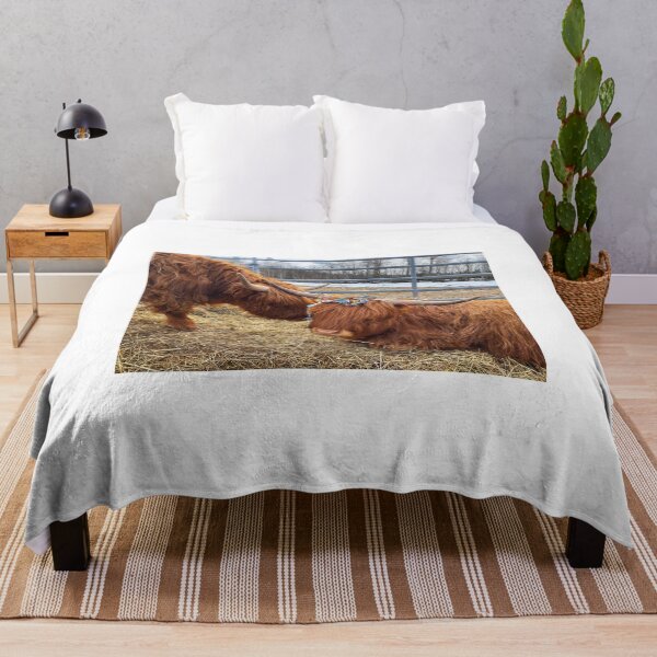 Artikelvorschau, Scottish Highland Cattle Cow and serpentine streamer 3317 entworfen und verkauft von SaarelaHighland.