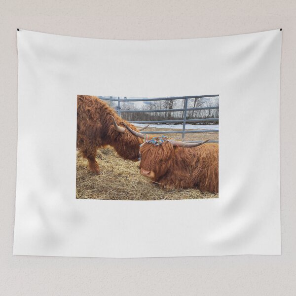 Artikelvorschau, Scottish Highland Cattle Cow and serpentine streamer 3317 entworfen und verkauft von SaarelaHighland.